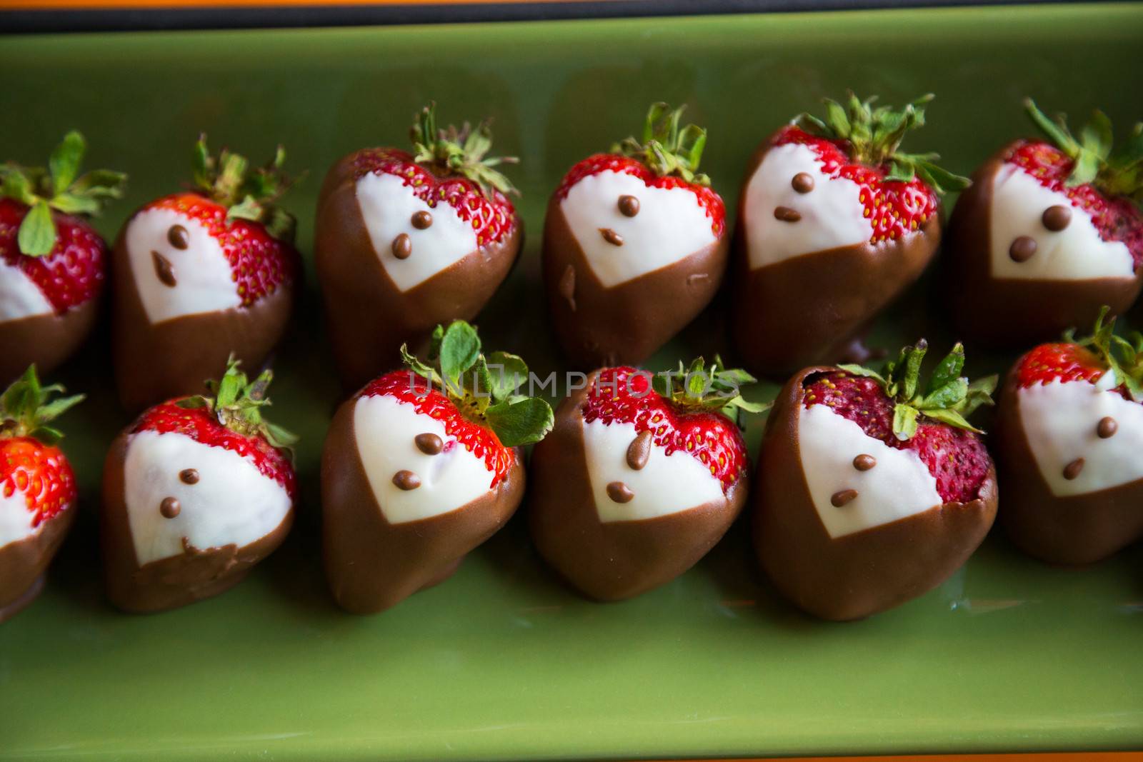 Desserts are prepped and ready at this wedding reception featuring some delicious sweets.