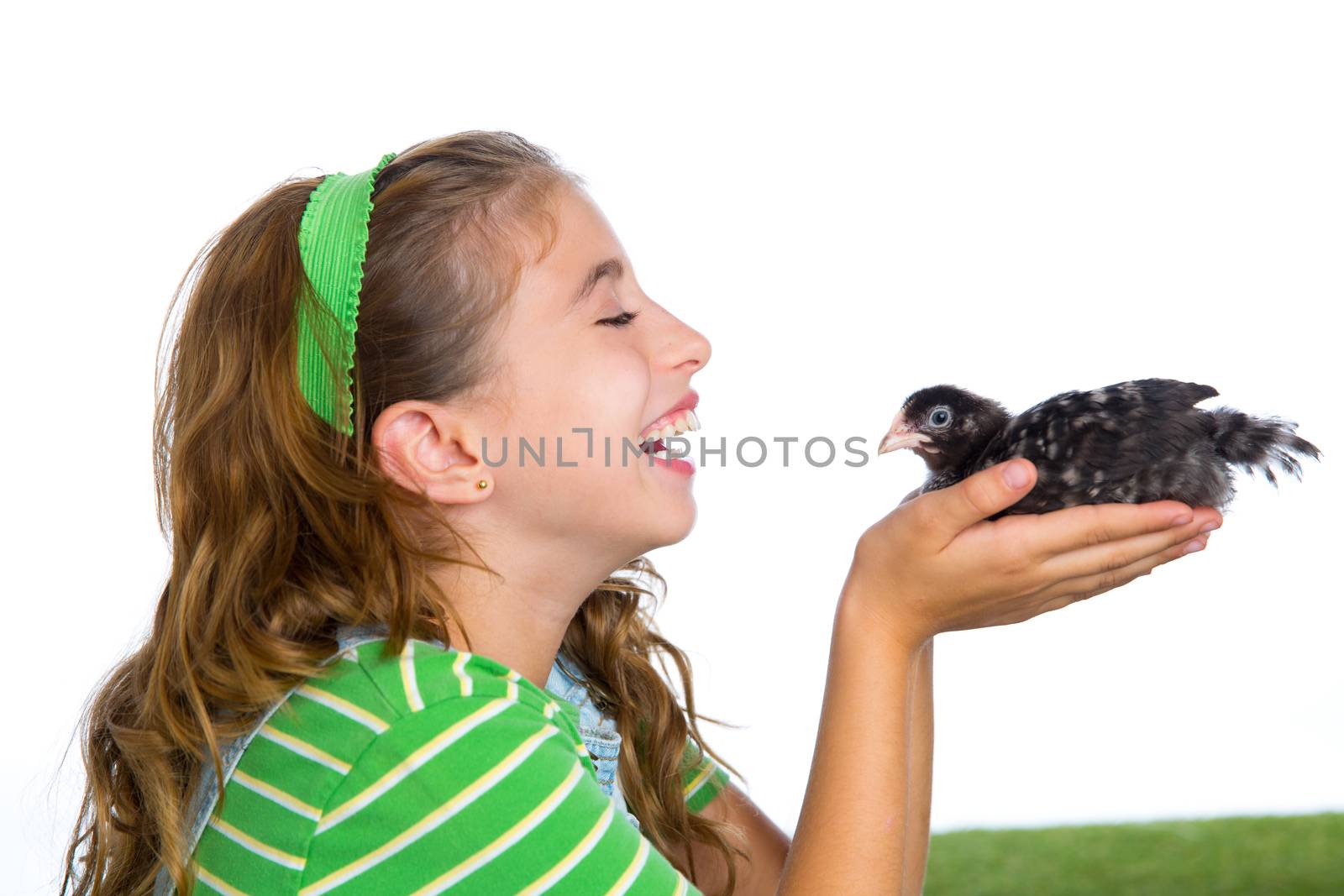 breeder hens kid girl rancher farmer playing with chicken chicks white background