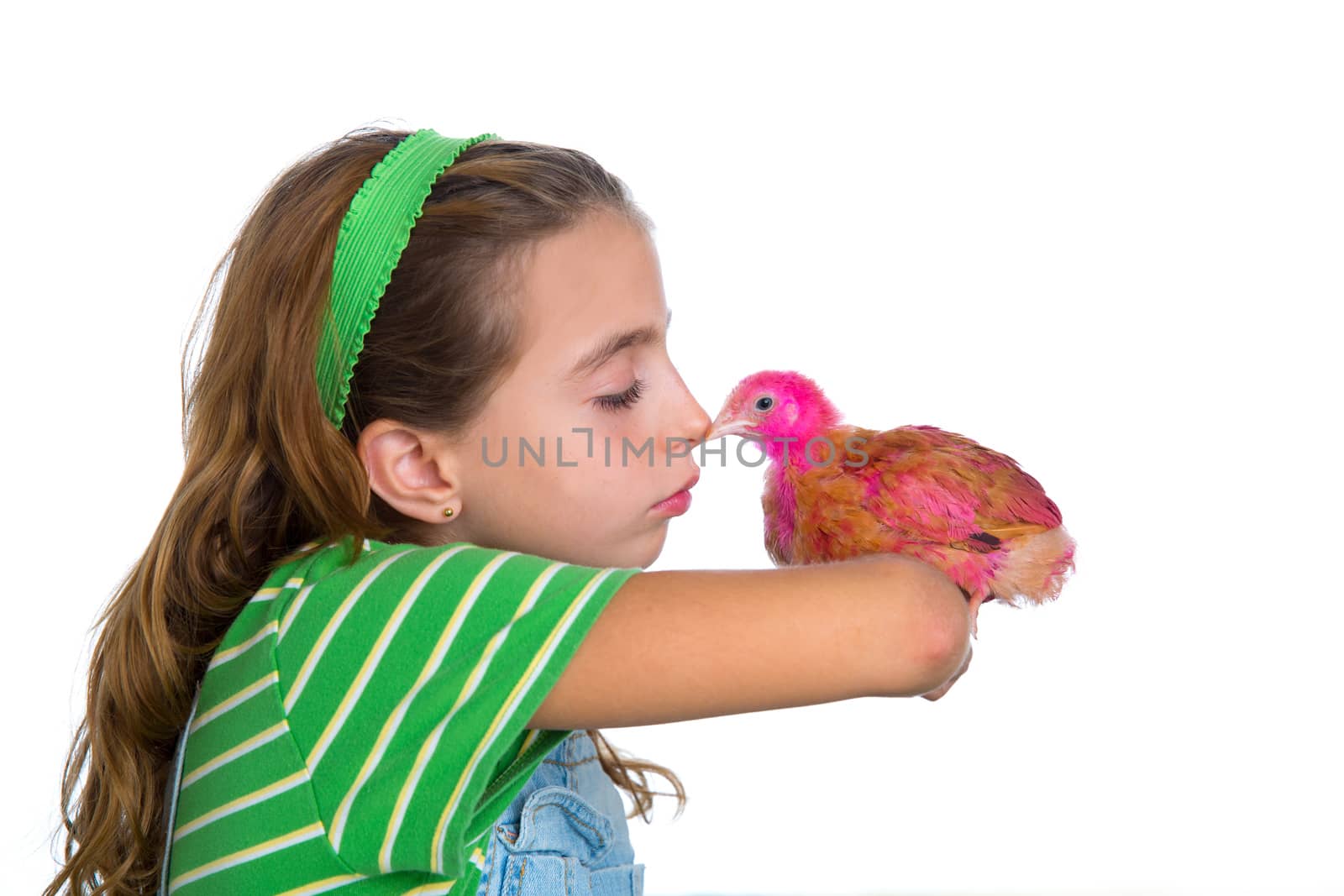 breeder hens kid girl rancher farmer playing with chicken chicks white background