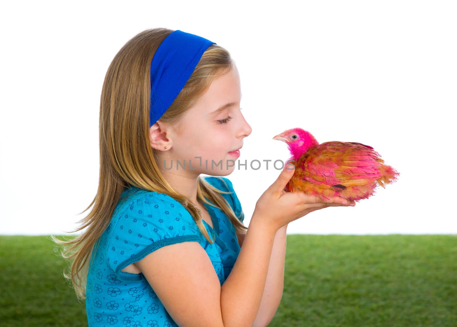 breeder hens kid girl rancher farmer playing with chicken chicks white background