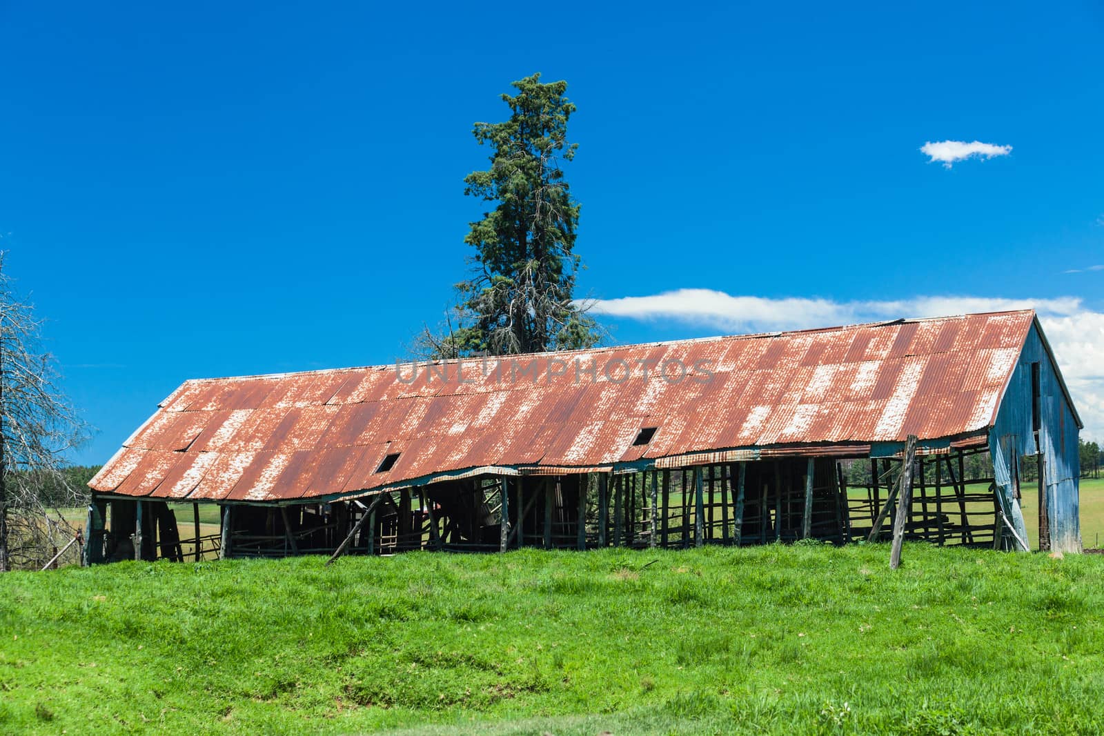 Rusty Farm Barn Green Pastures by ChrisVanLennepPhoto