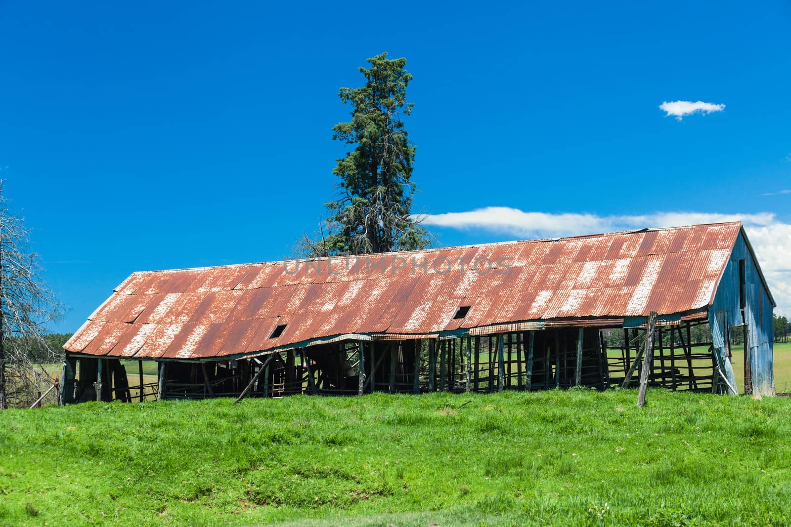 Rusty old farm barn structure in farming pastures during the summer.