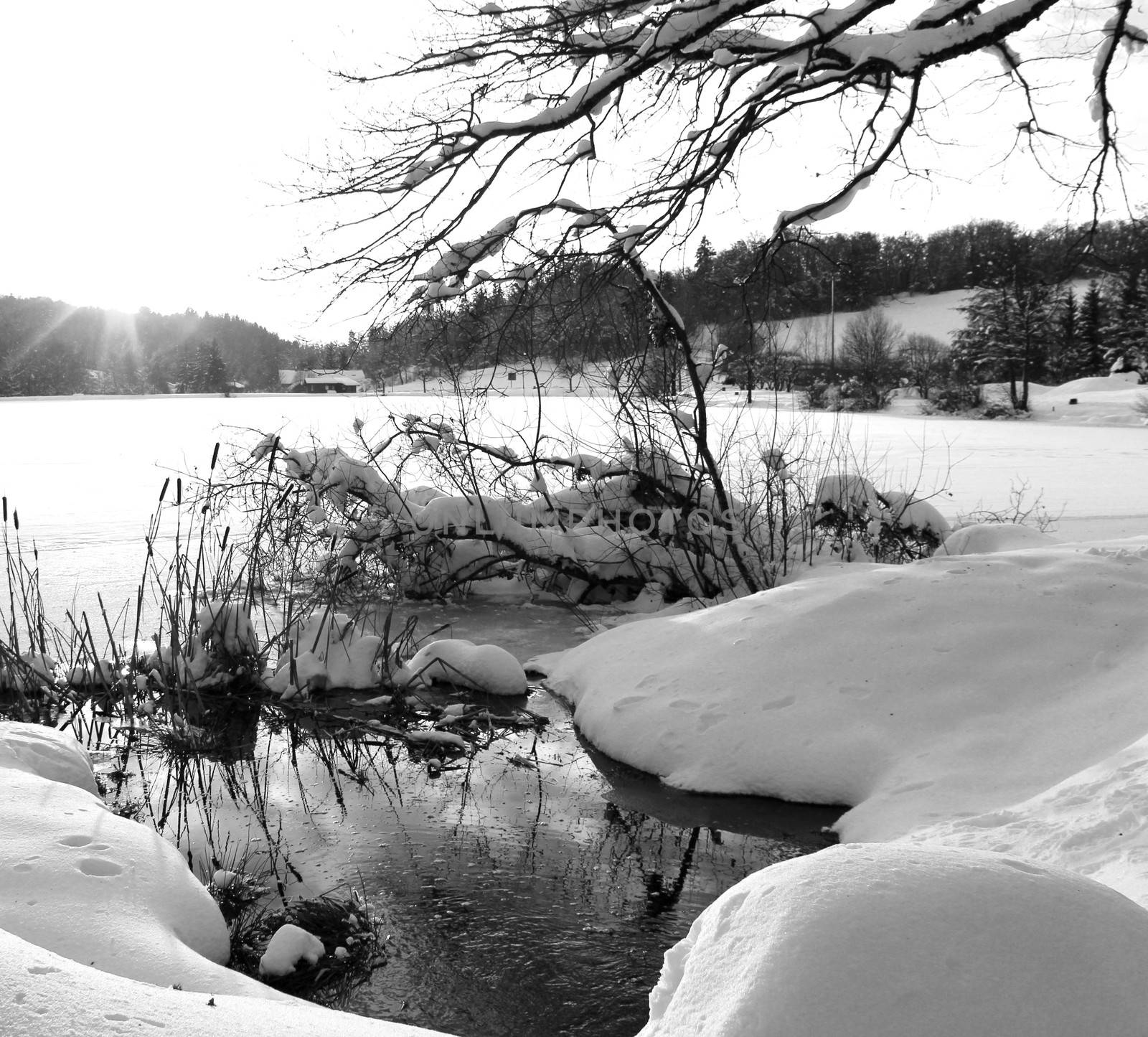 winter landscape with snow