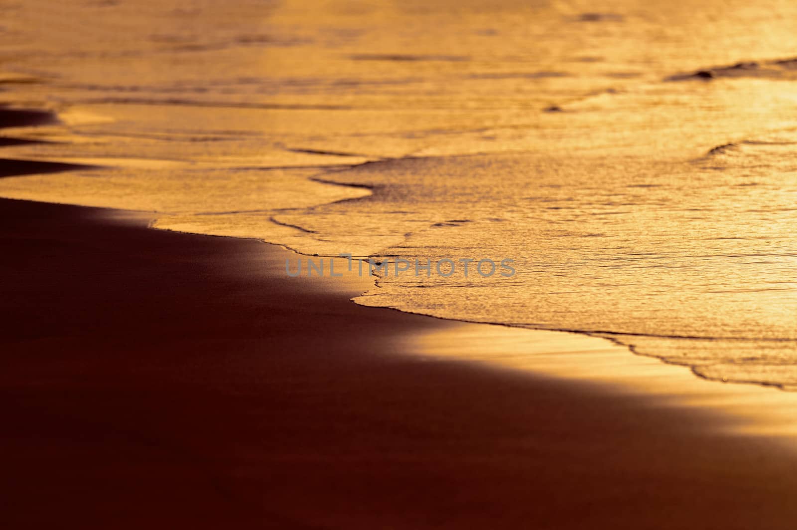 Soft wave of the sea on the sandy beach in evening