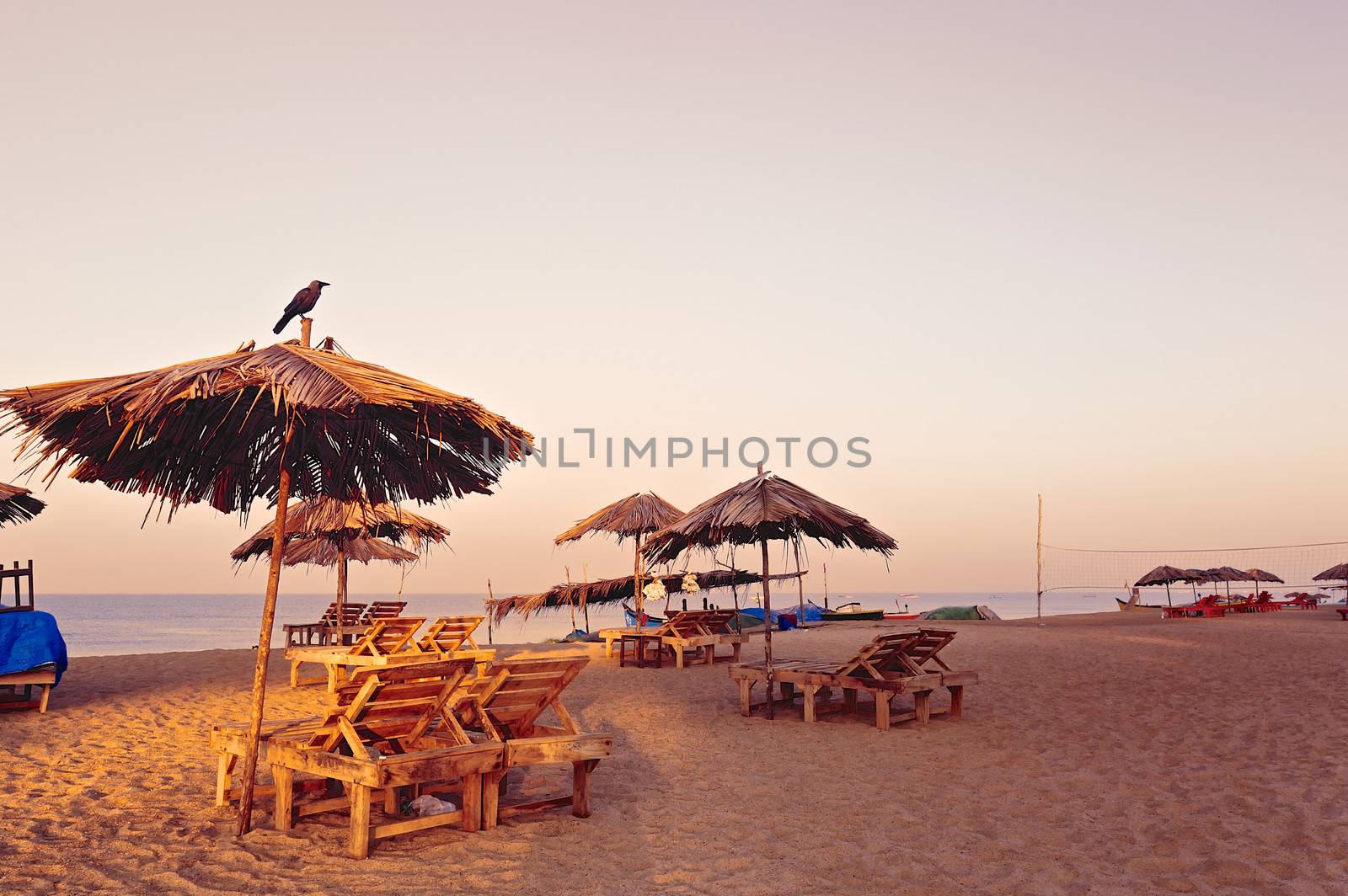 Beach umbrellas and deckchair on the tropical coast in Goa, india