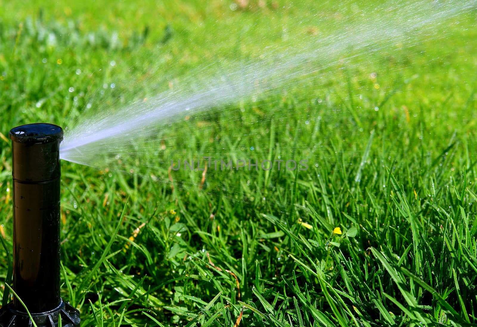 Garden lawn automatic irrigation system
