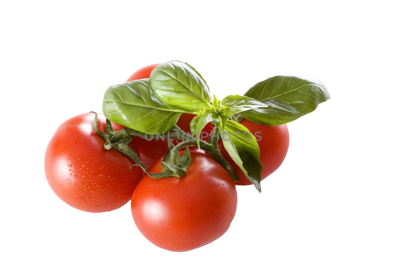 Red and ripe tomatoes with basil isolated on white background