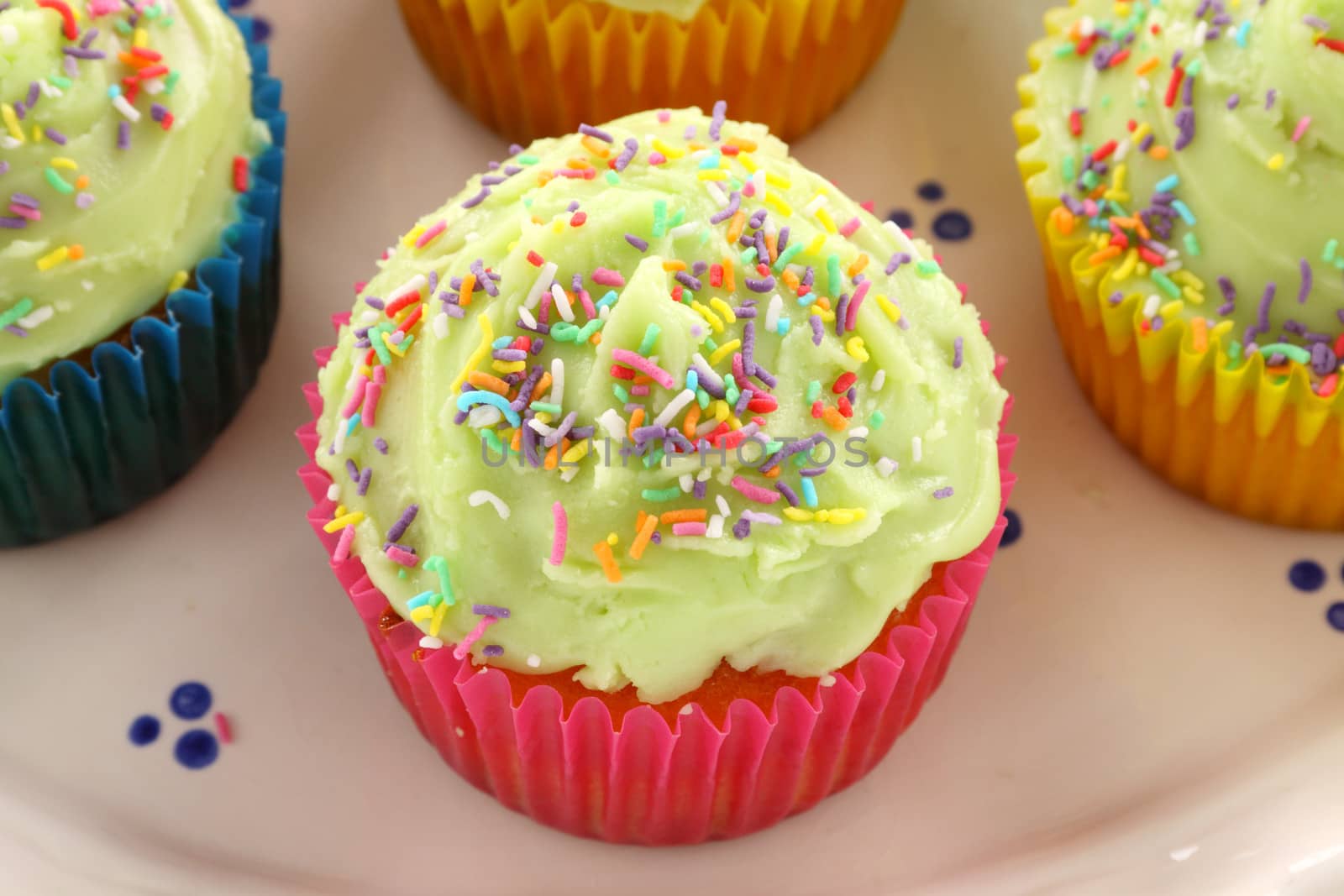 Delicious cute single cup cake ready to serve.