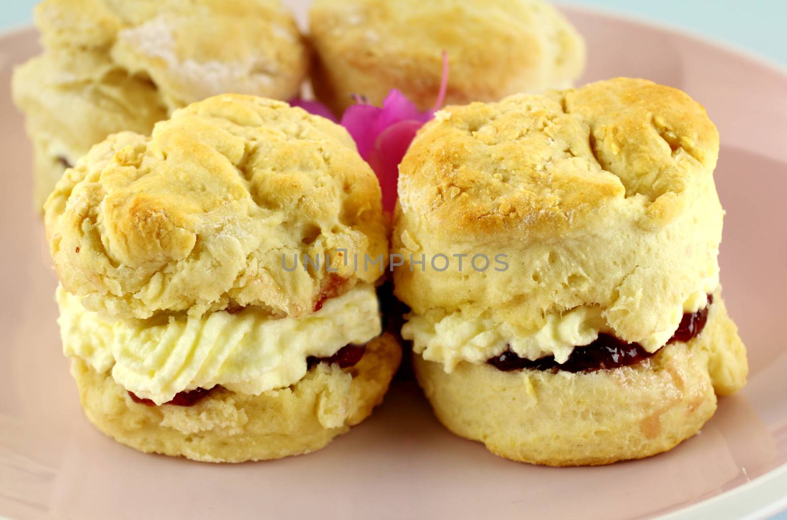 Fresh baked homemade scones with jam and cream on a plate.