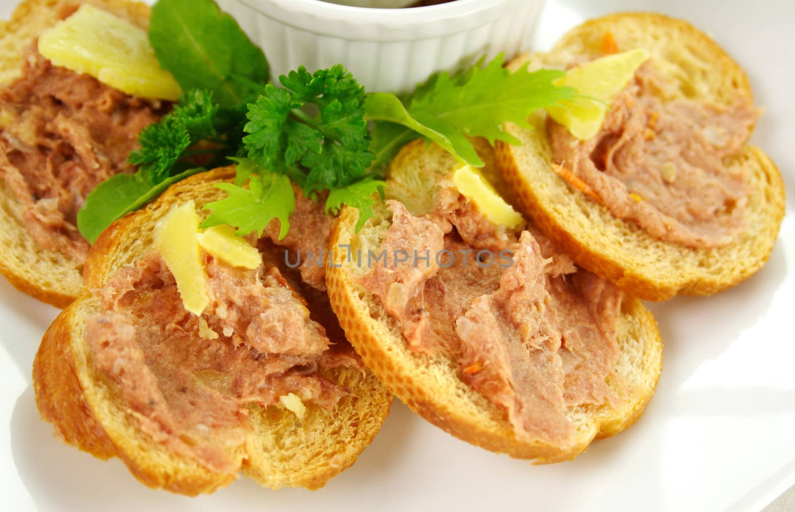 Delicious homestyle country pate with toasted crisps ready to serve.
