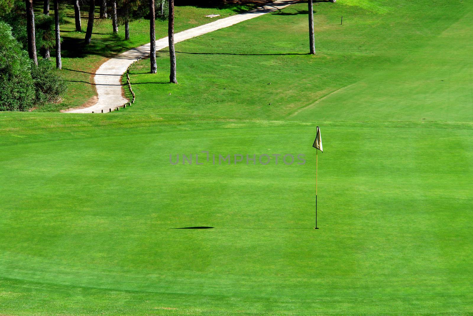 Golf course green in Algarve (Portugal)