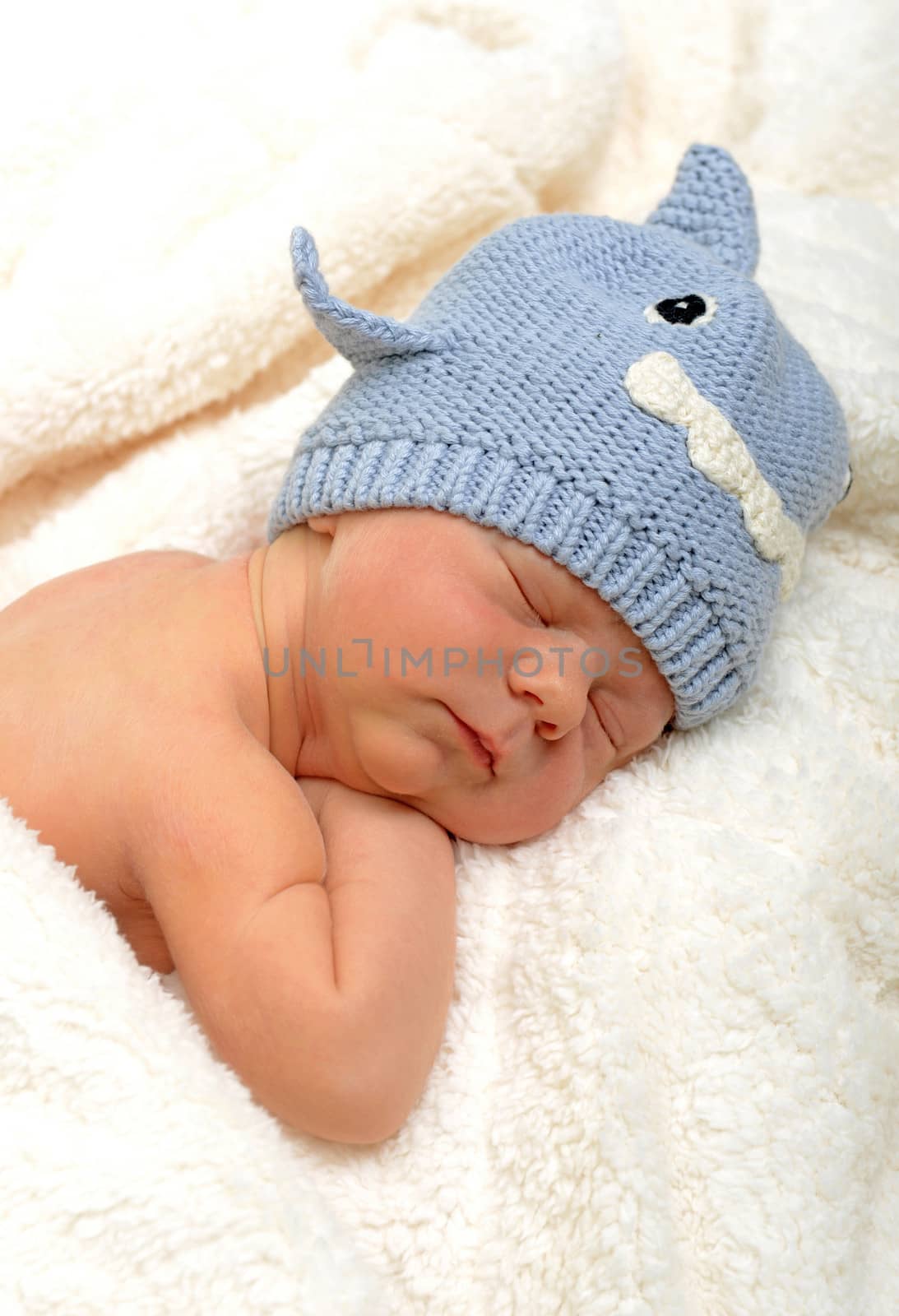 newborn baby sleeping in shark hat