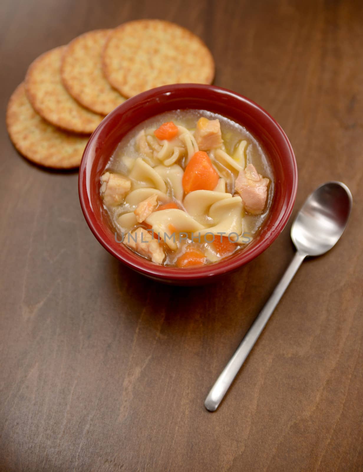 classic bowl of chicken noodle soup by ftlaudgirl