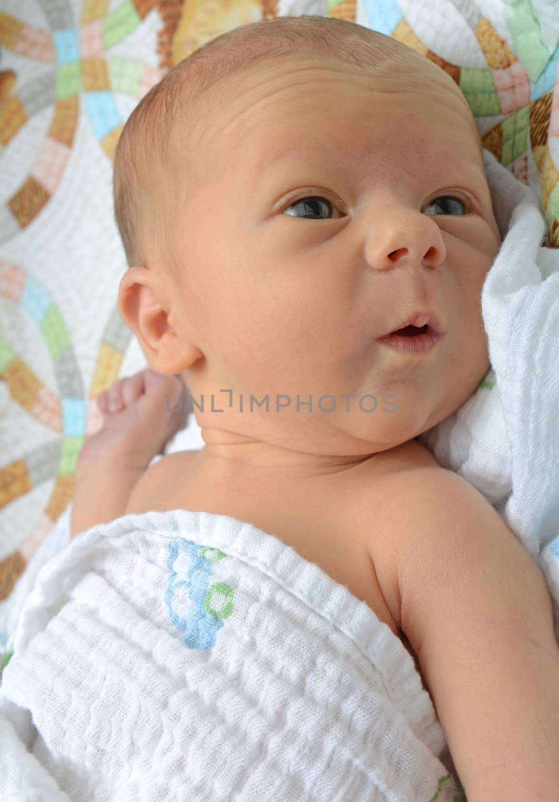 newborn with an expression of wonder by ftlaudgirl