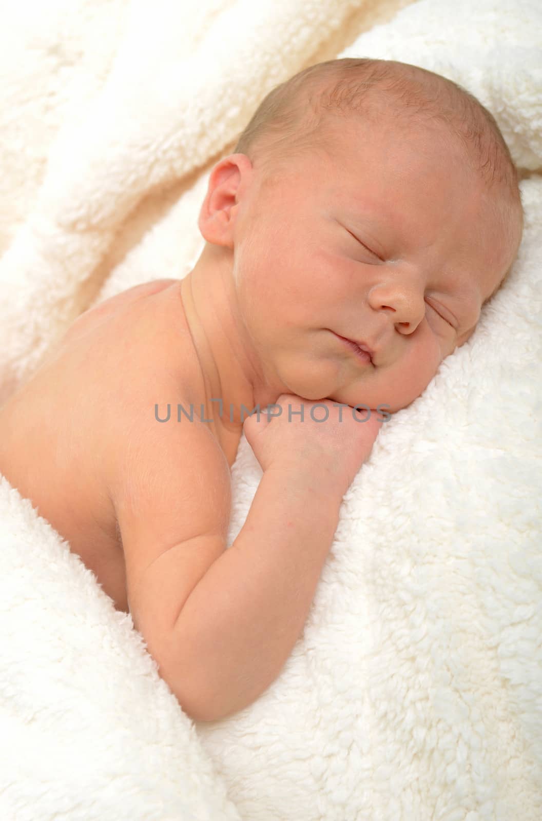 beautiful and peaceful sleeping newborn infant