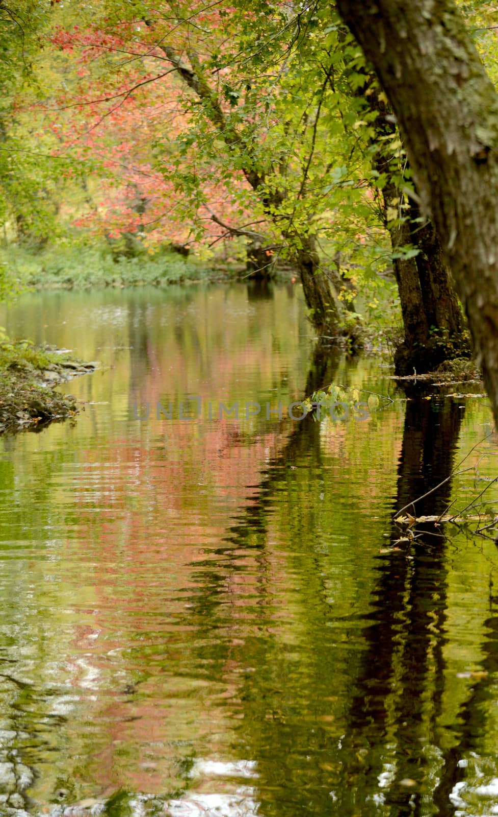 reflection of autumn landscape in river