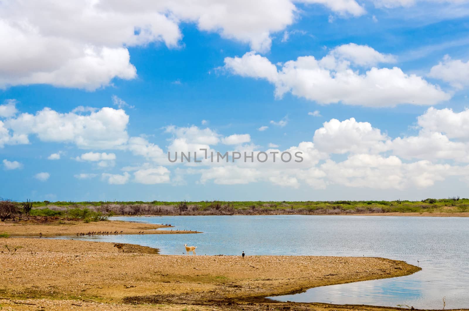 Lake in La Guajira by jkraft5