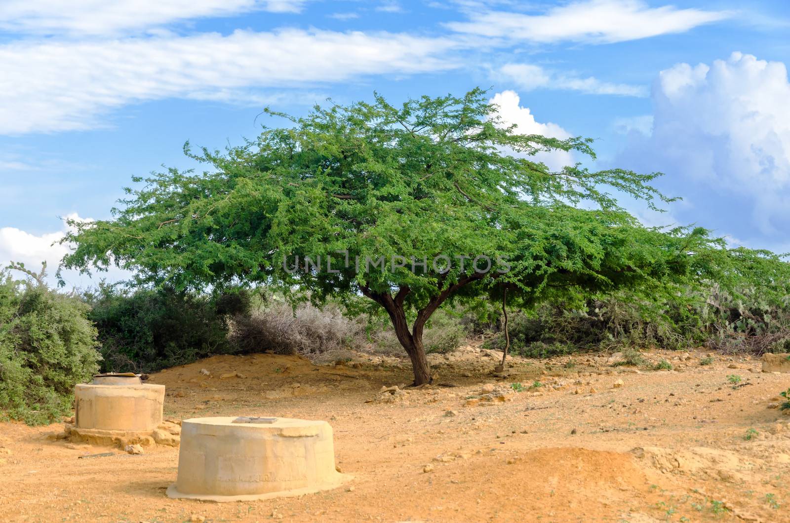 Wells in a desert region of Colombia used by the indigenous Wayuu for water in La Guajira