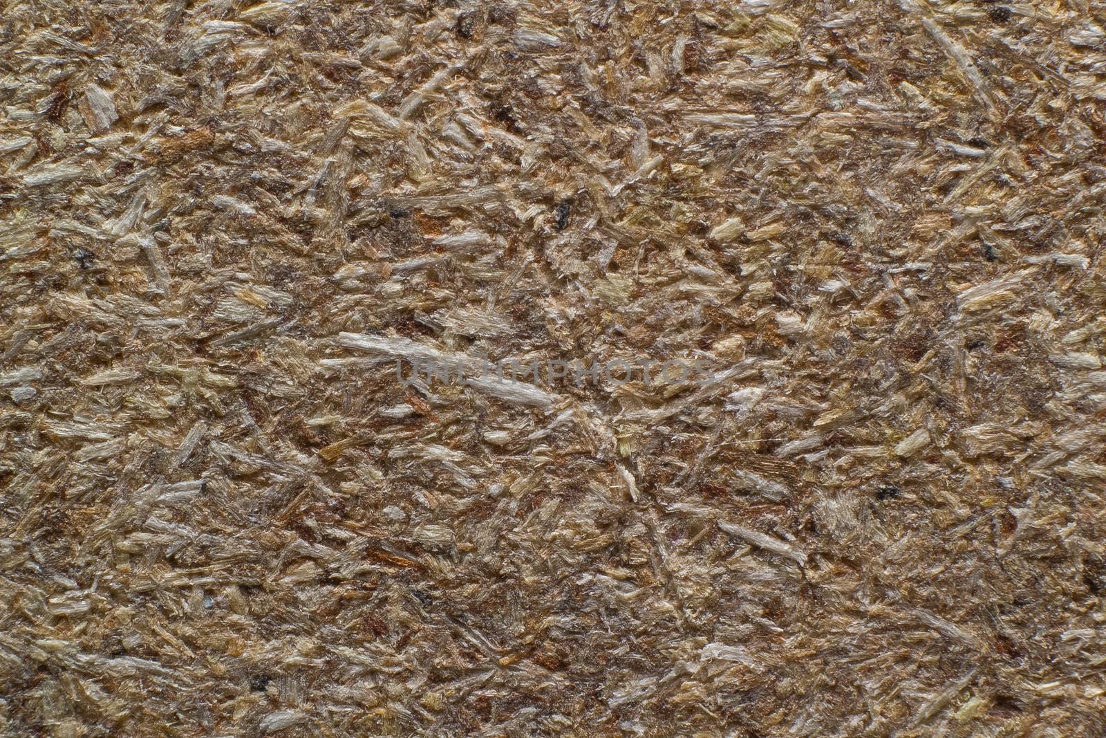Detailed texture of a plywood
