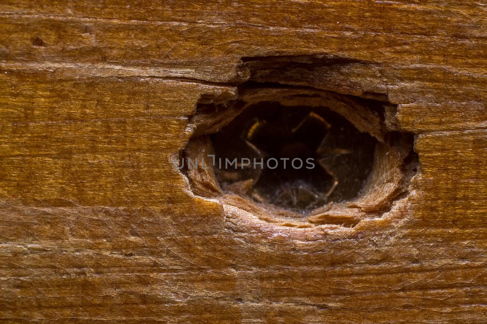 Wood Texture by dynamicfoto