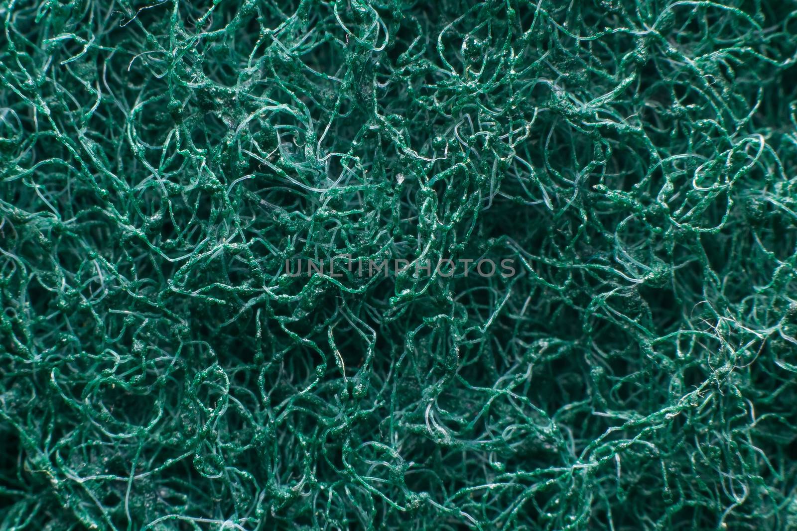 Detailed texture of washing sponge