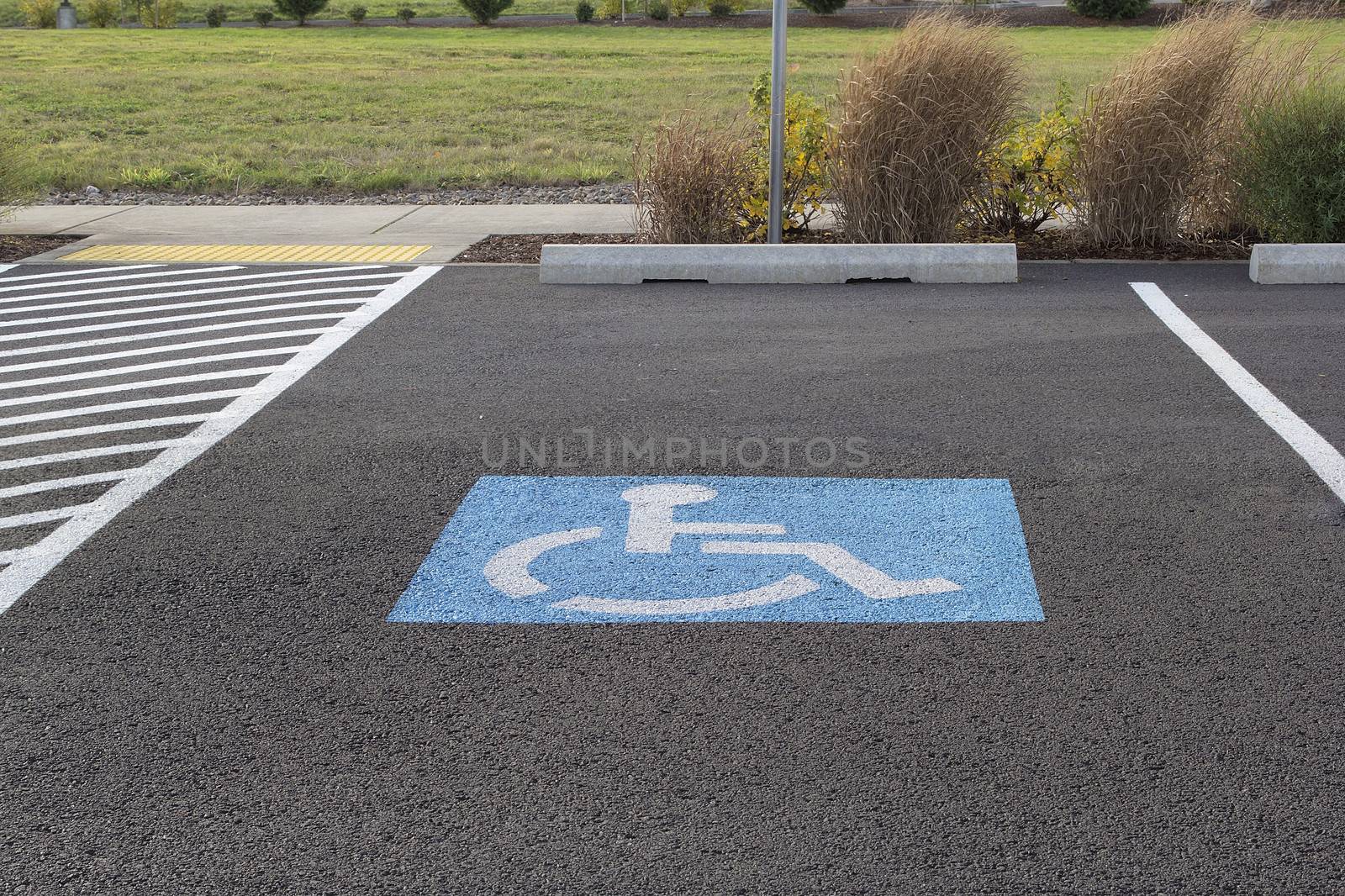 Handicapped Parking Space at Business Location