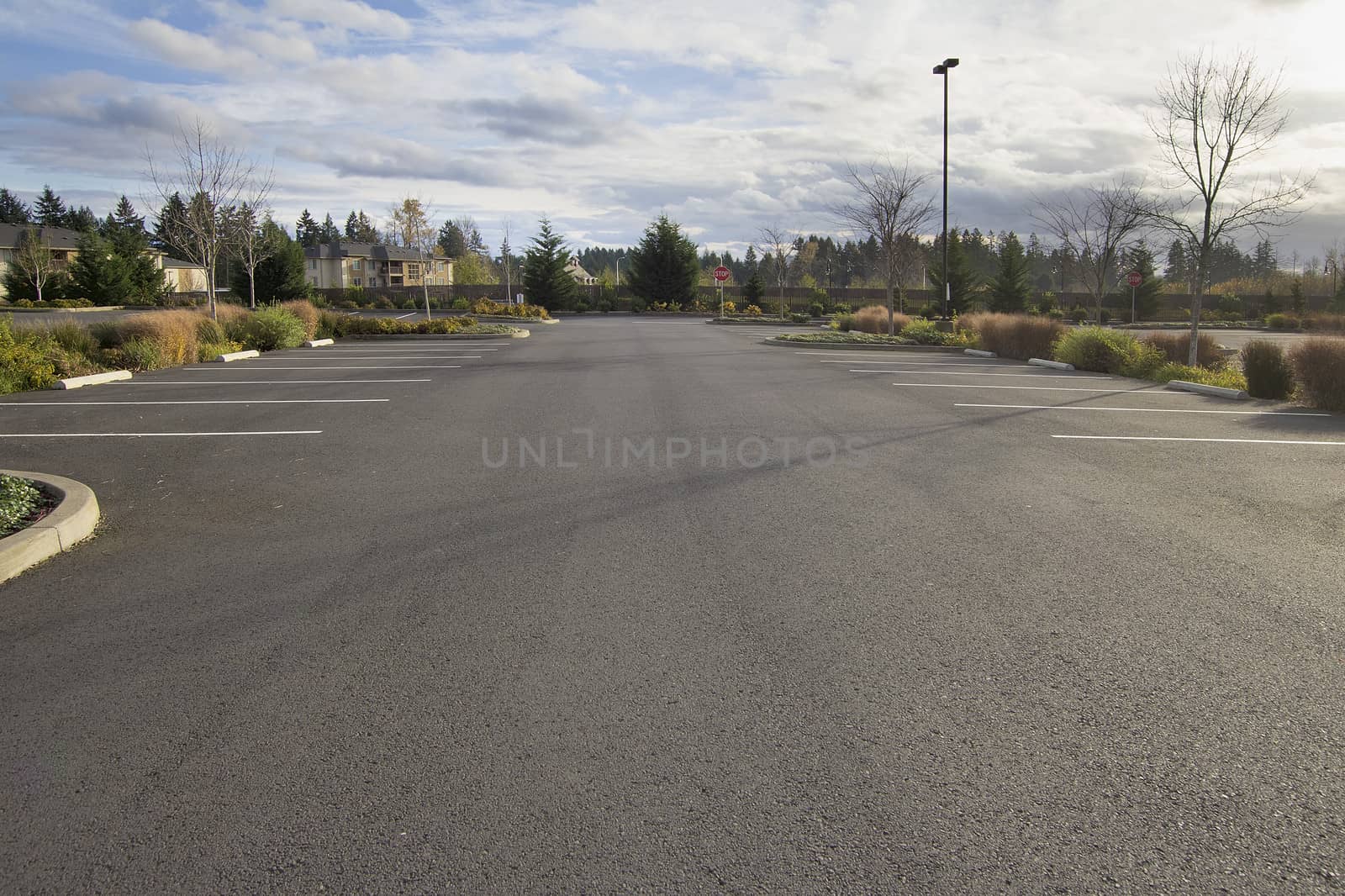 Empty Parking Lot at Business Location