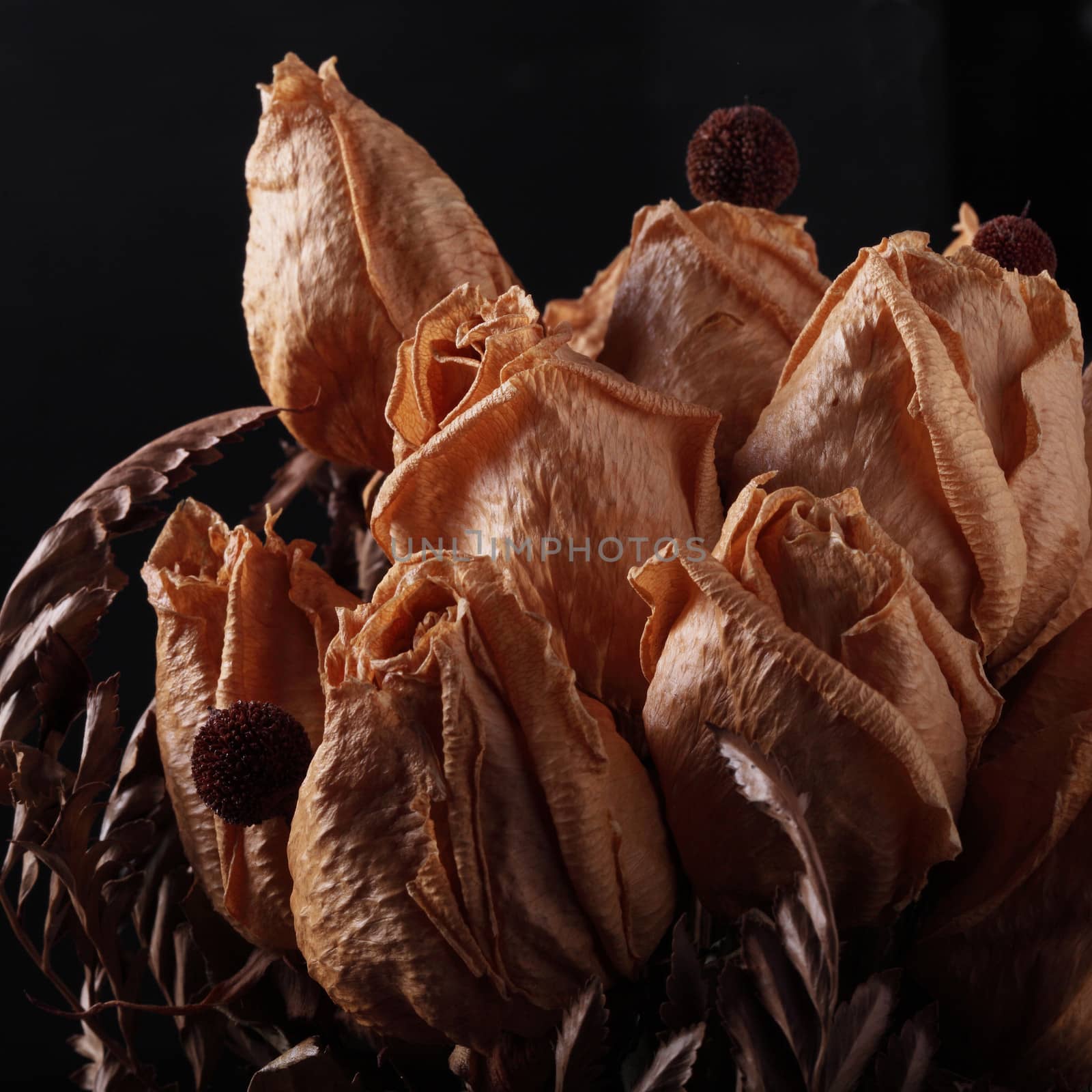 Old dried roses bouquet