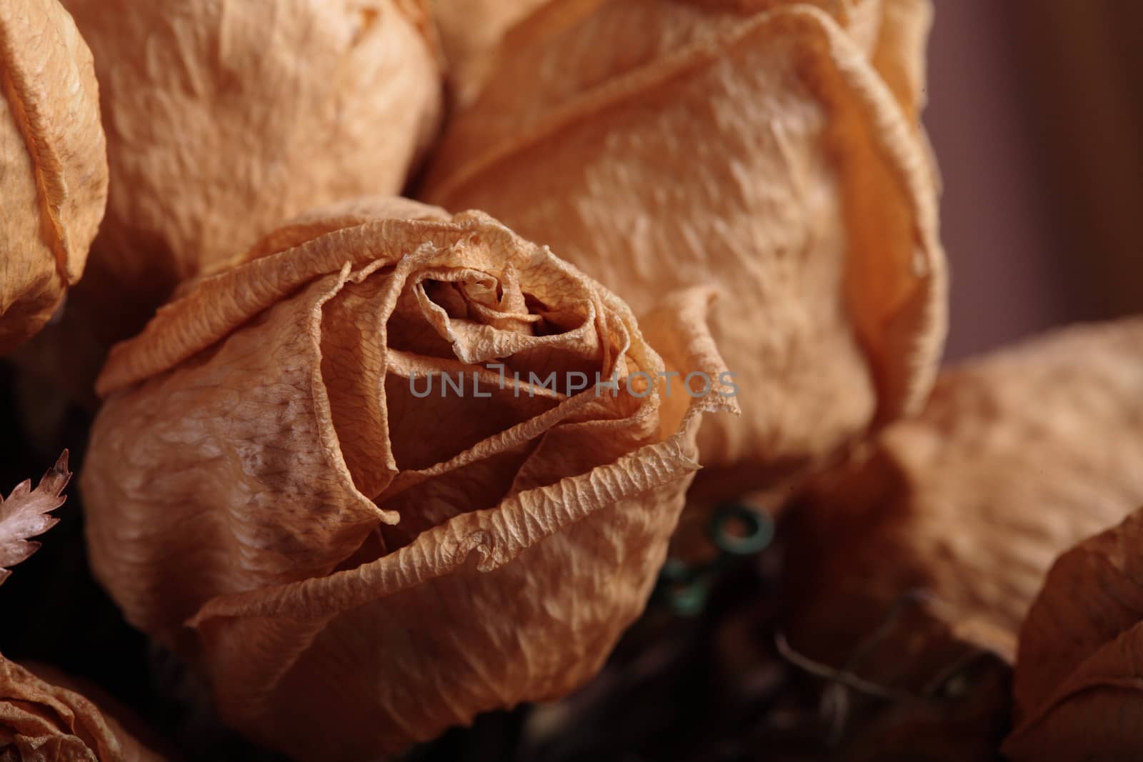 Old dried roses bouquet