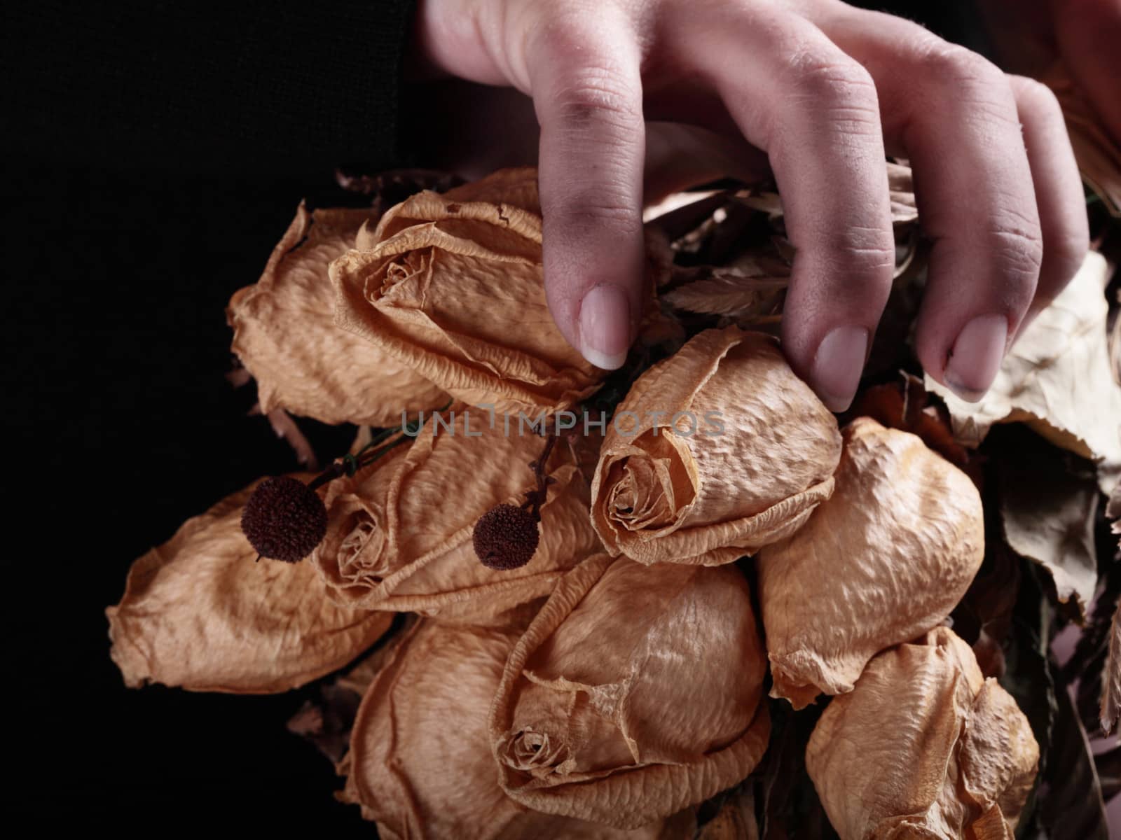 dirty and old hands taking a bouquet of dried roses
