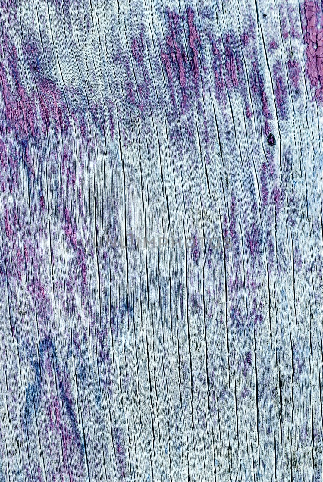 texture of old painted wood by sfinks