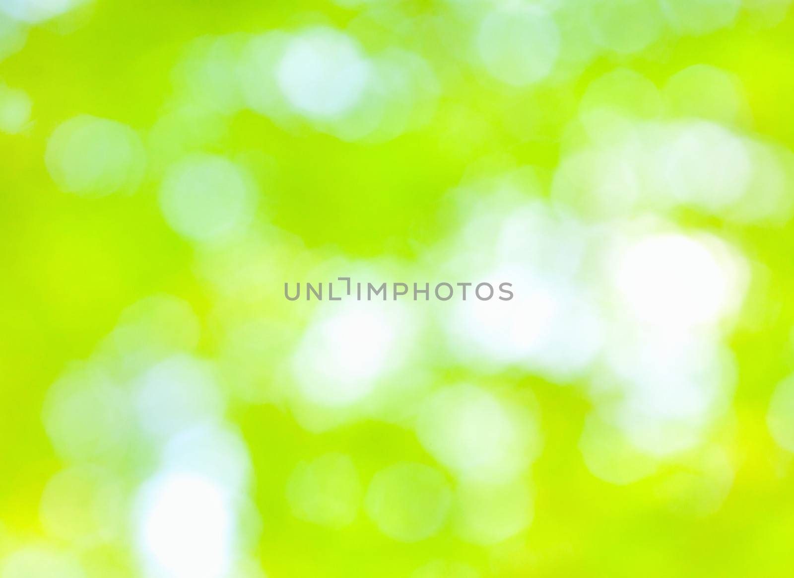 Sunny and full of light nature background