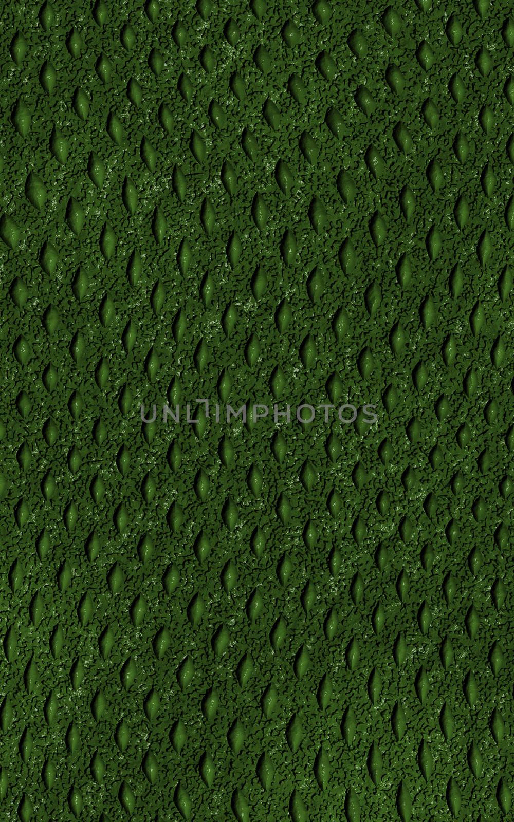 pattern of green crocodile skin
