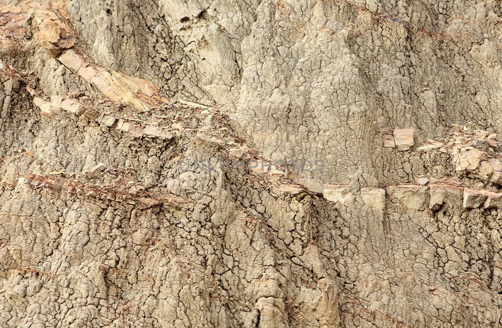 Texture of clay, background