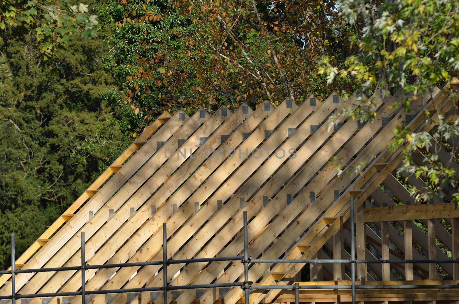 Wood roof being built