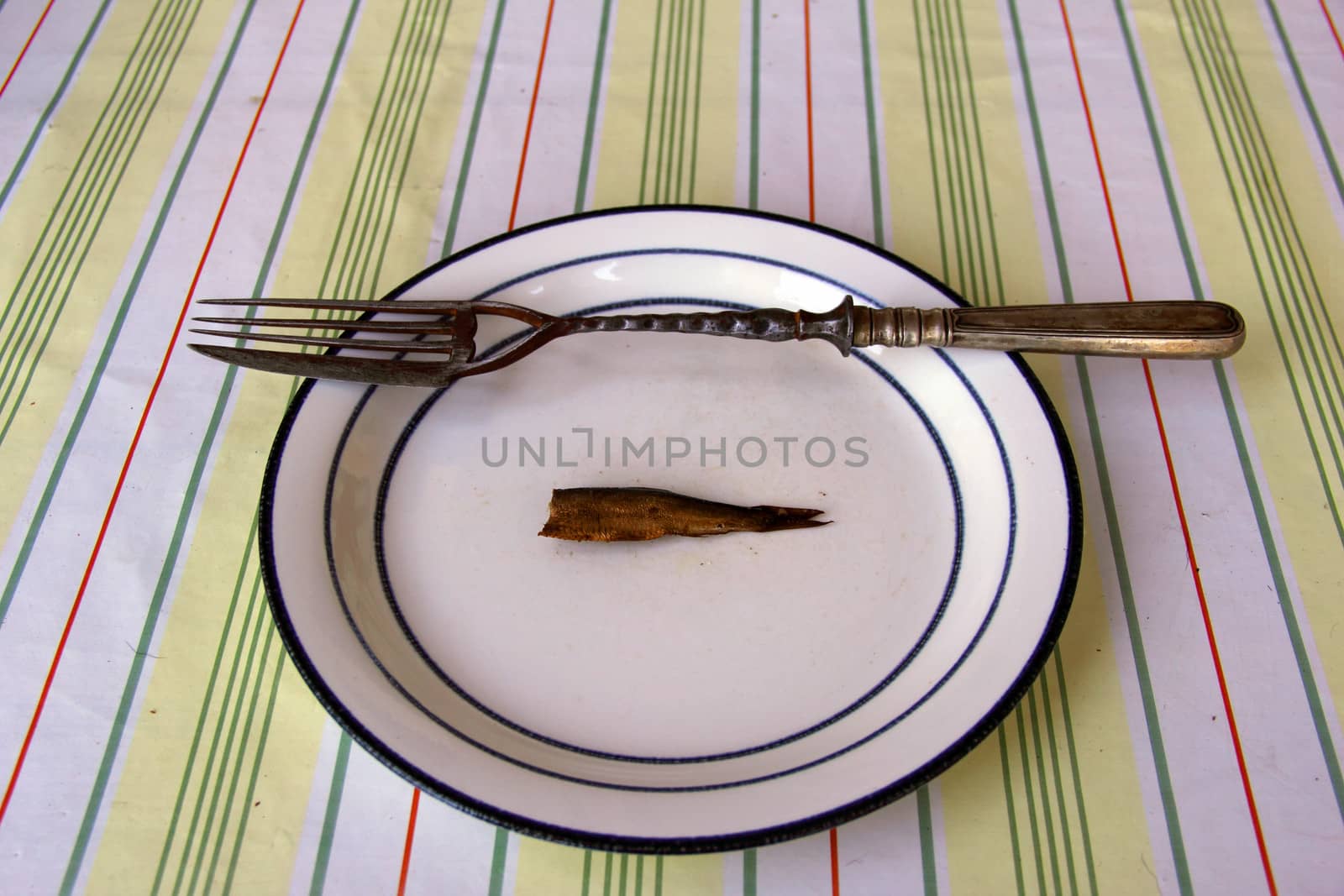 fork with knife on dish with  fish