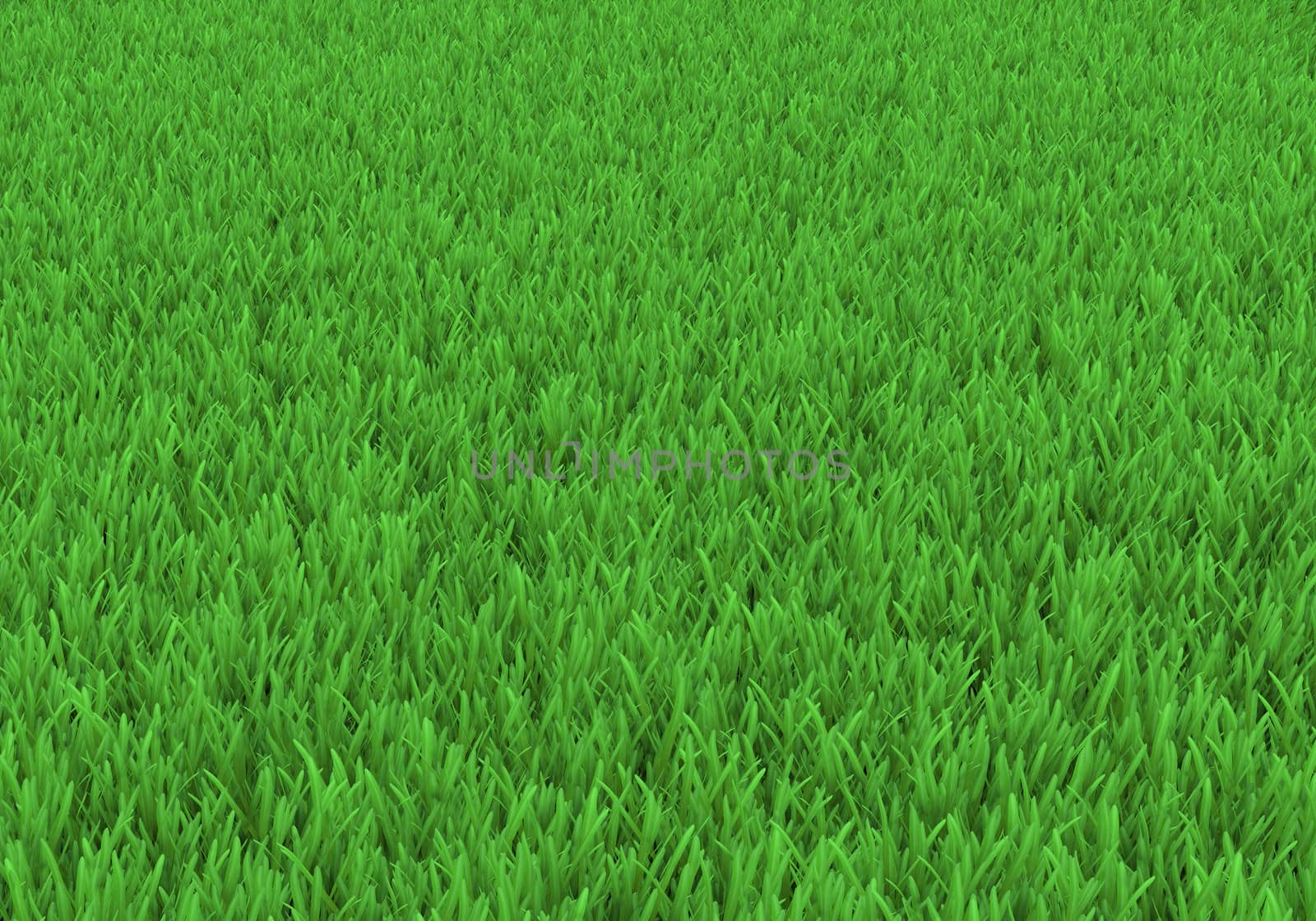 Field of green grass. Background texture, high resolution