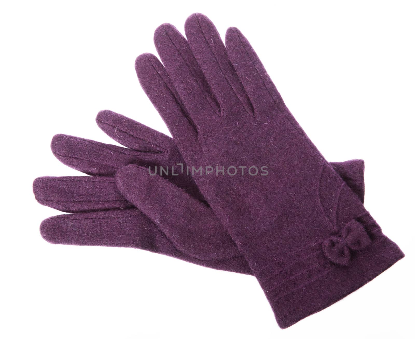 Purple gloves on white background