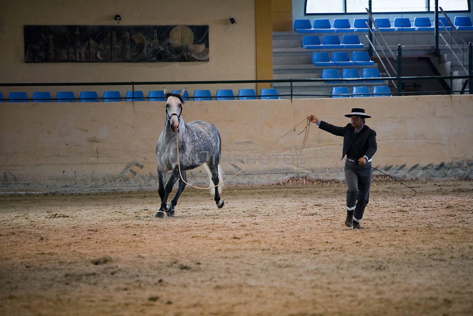 Equestrian test of morphology to pure Spanish horses, Spain