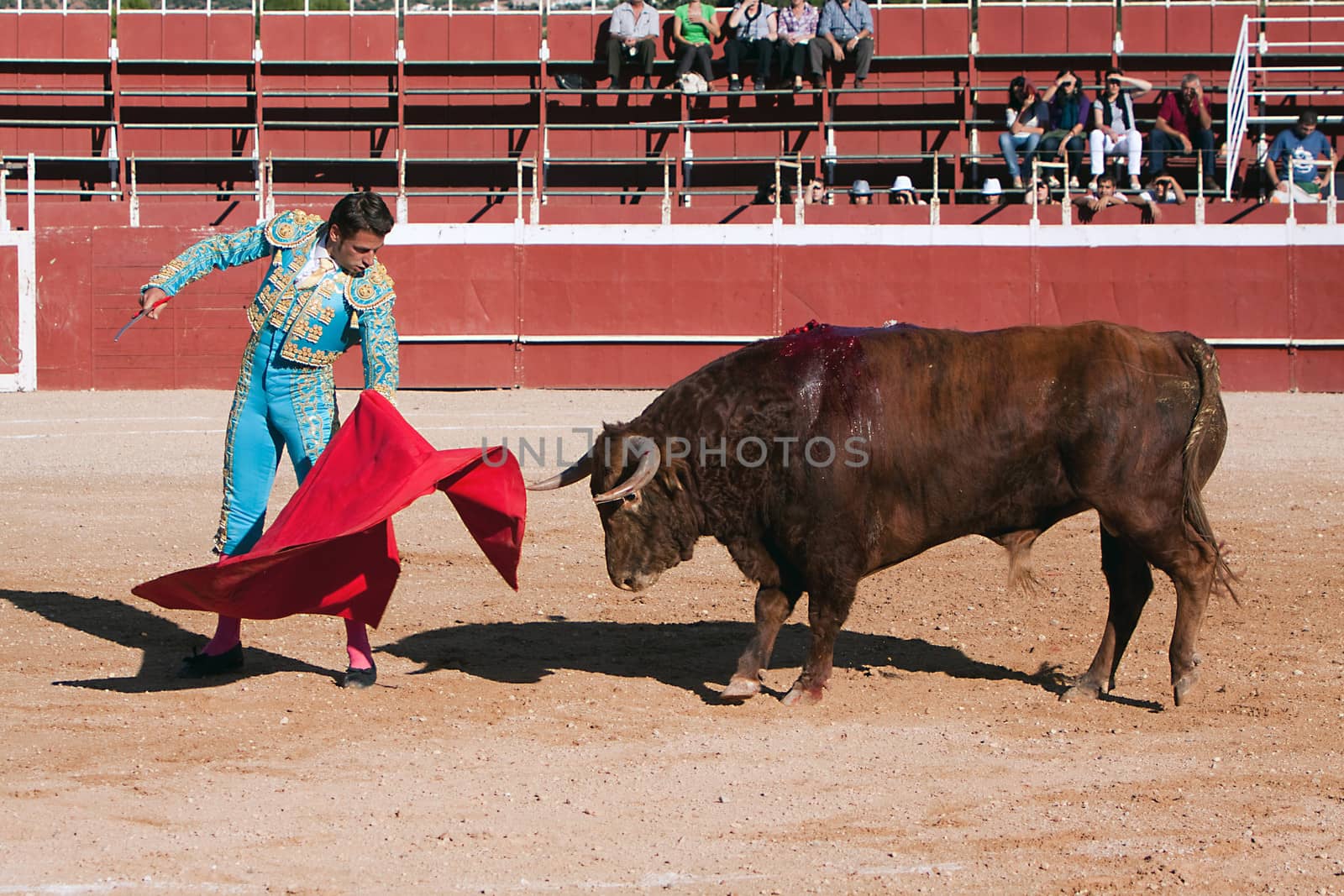 The Spanish bullfighter David Valiente Bullfight at Beas de Segura bullring, Jaen province, Andalusia,  Spain, 11 october 2010