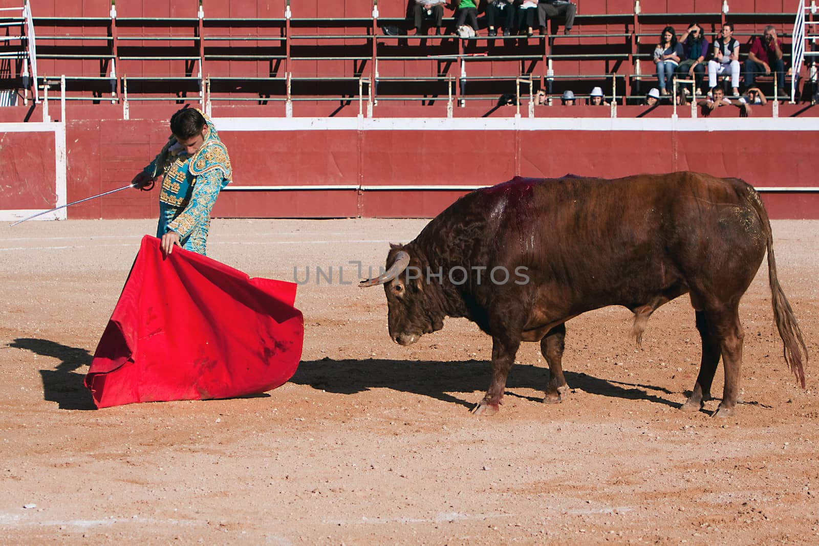 The Spanish bullfighter David Valiente Bullfight at Beas de Segura bullring, Jaen province, Andalusia, Spain, 11 october 2010