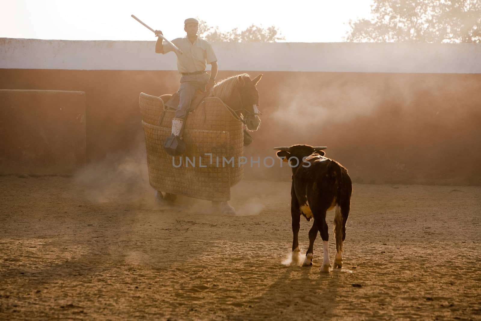 Picador bullfighter, lancer whose job it is to weaken bull's neck muscles, Spain