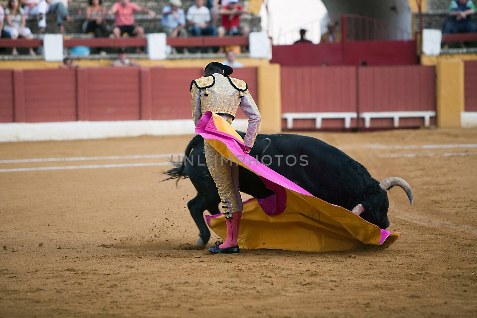 The Spanish bullfighter Sebastian Castella after being caught by the bull. Bullfight at Andujar bullring, Jaen, Spain, 11 September 2009