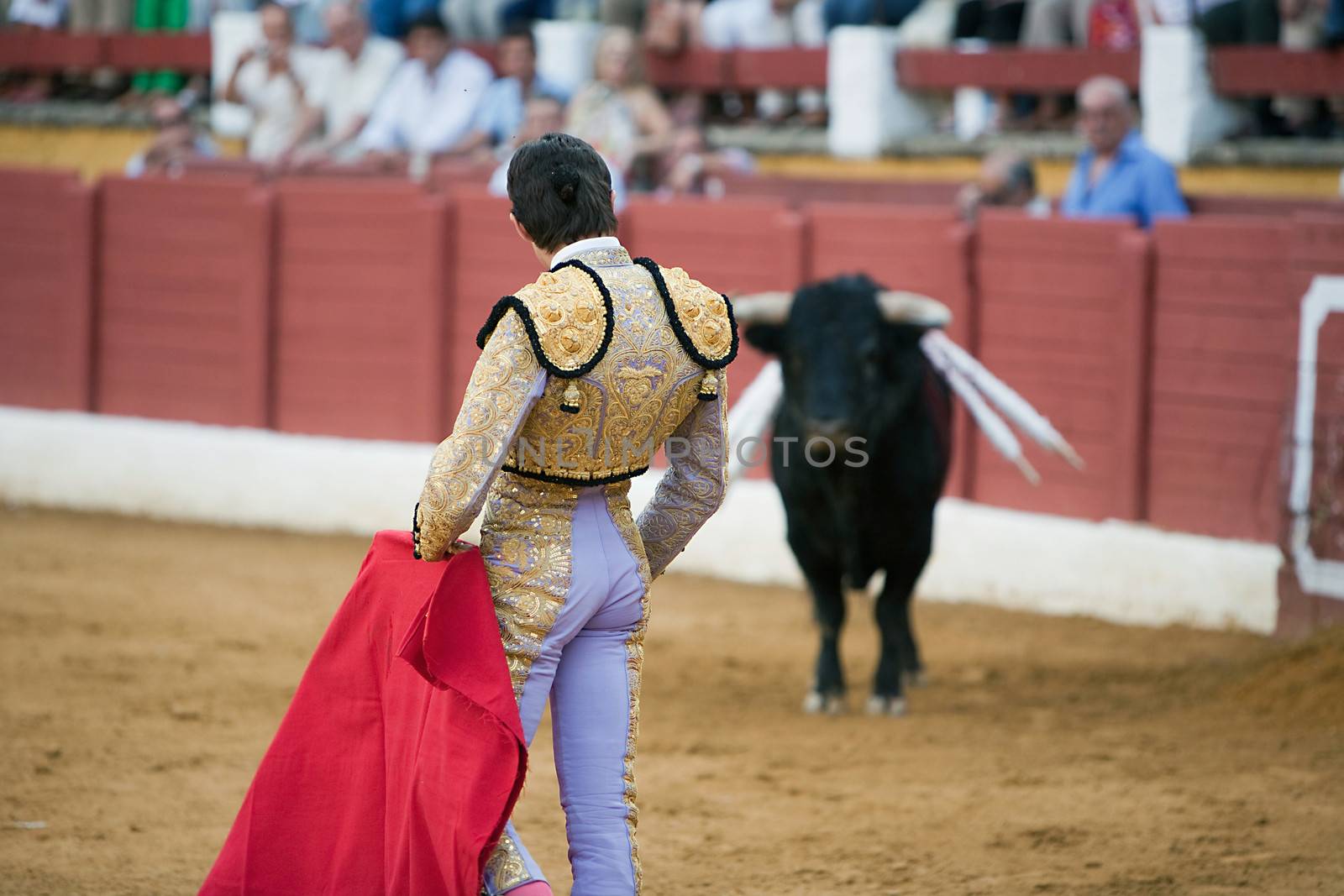 The Spanish bullfighter Sebastian Castella, Bullfight at Andujar bullring, Jaen, Spain, 11 September 2009
