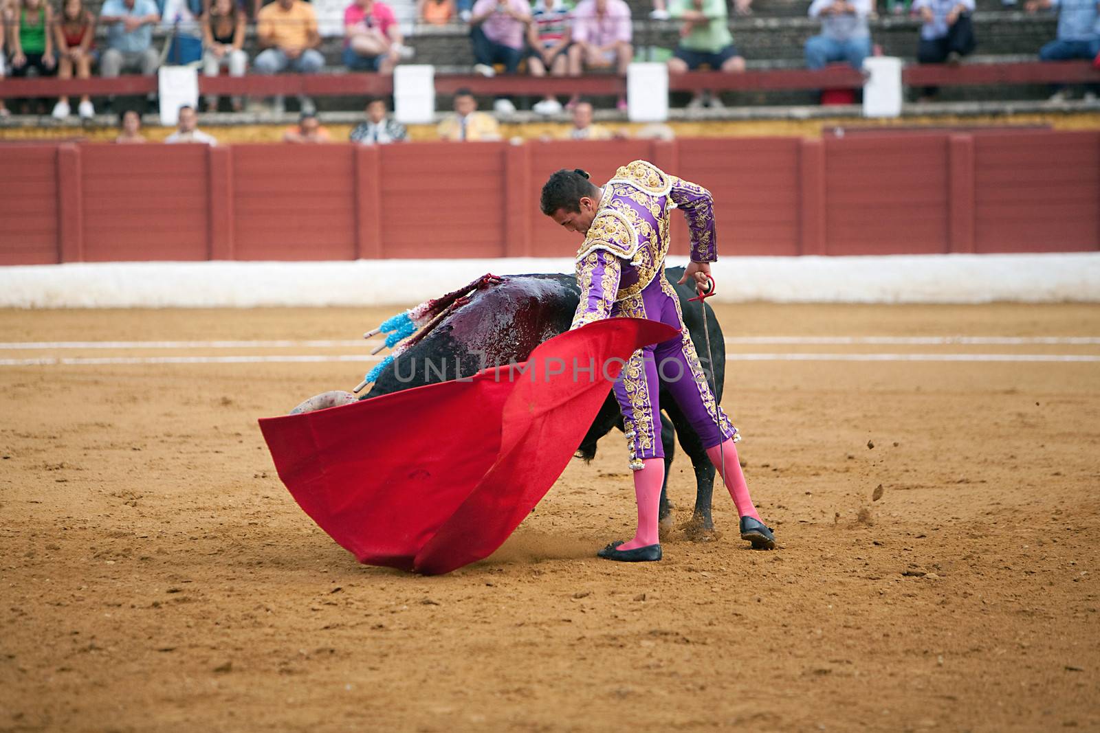 The Spanish bullfighter Jose maria Manzanares, Bullfight at Andujar bullring, Jaen, Spain, 11 September 2009