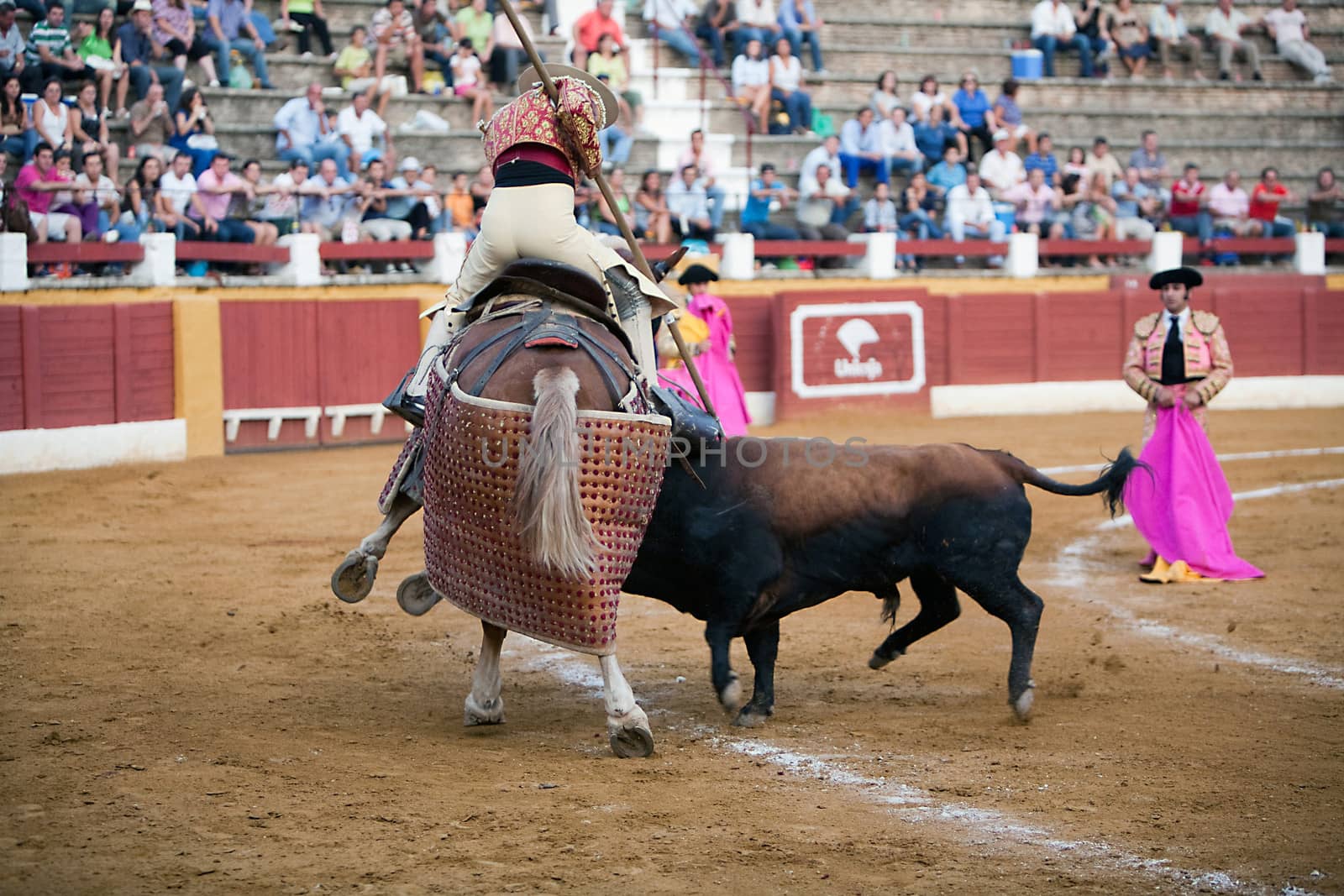 Picador bullfighter, lancer whose job it is to weaken bull's neck muscles, Spain