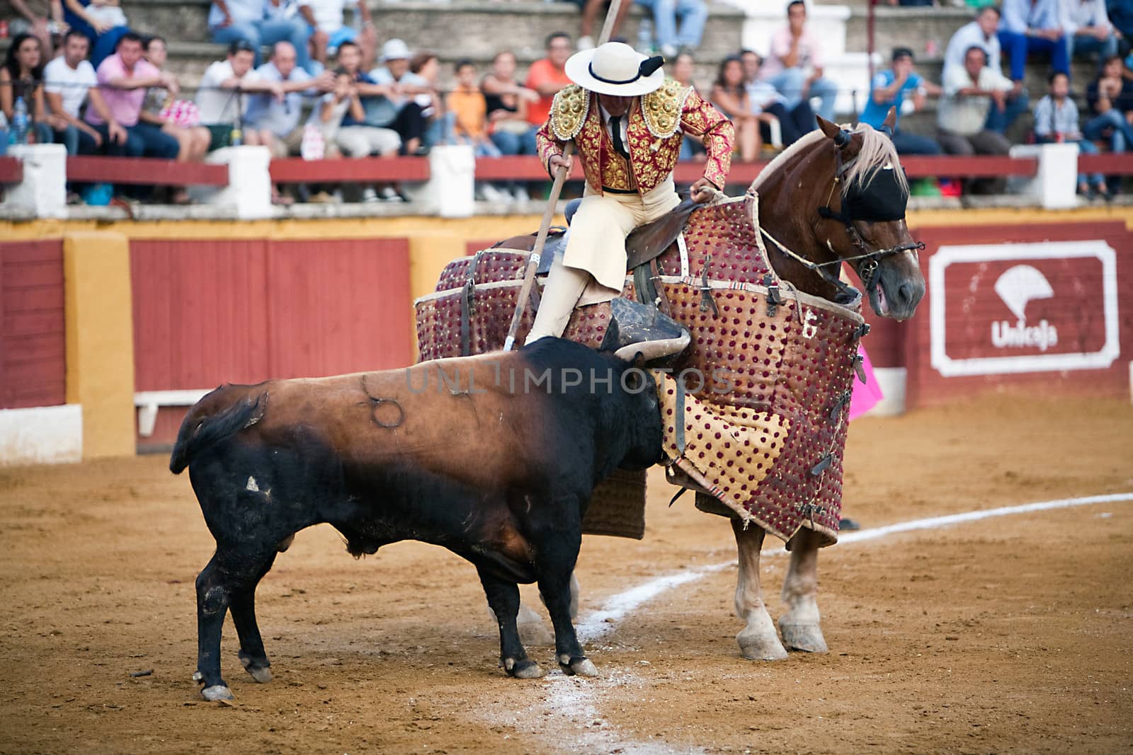 Picador bullfighter, lancer whose job it is to weaken bull's neck muscles, Spain