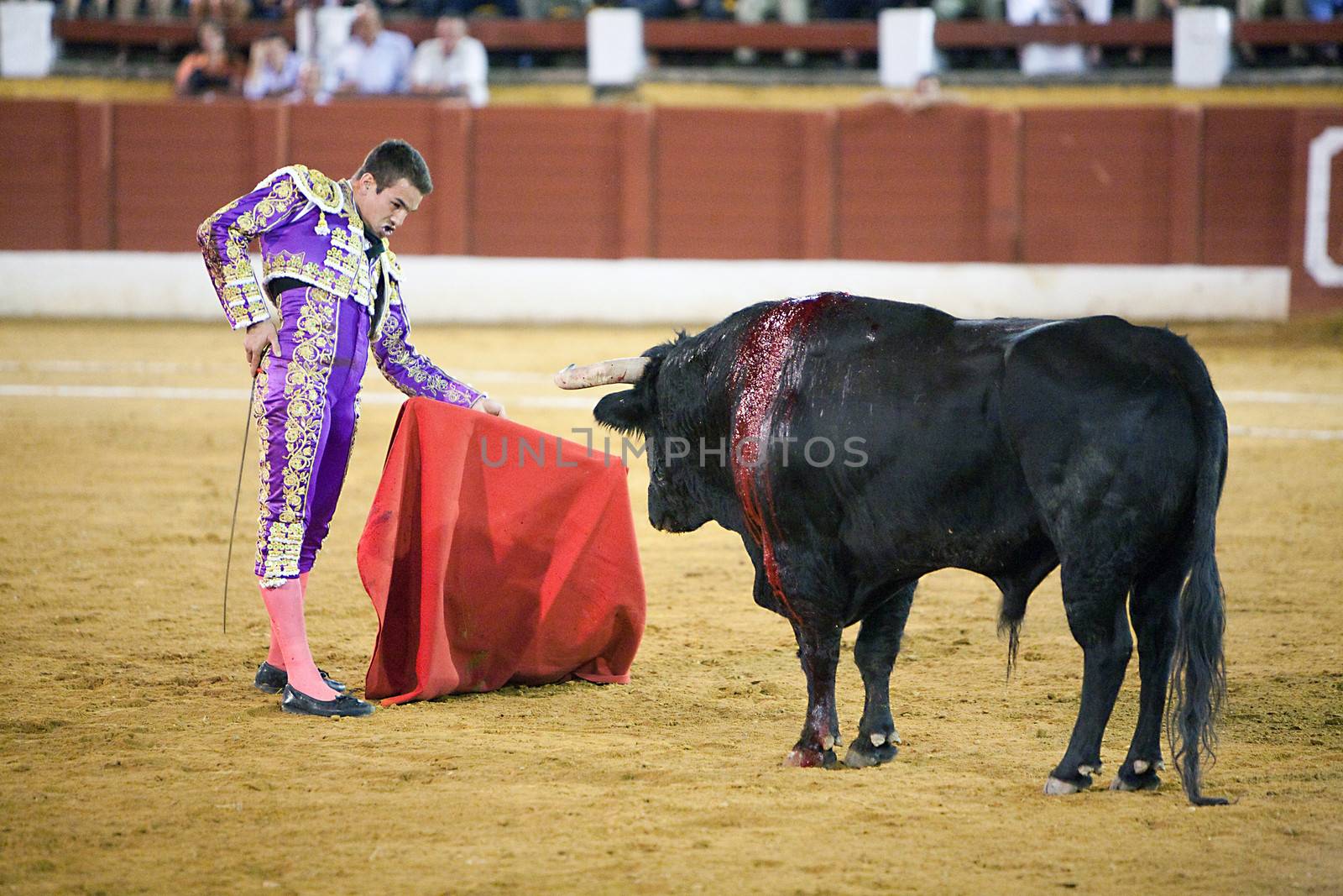 The Spanish bullfighter Jose Maria Manzanares,  Bullfight at Andujar bullring, Jaen, Spain, 11 September 2009