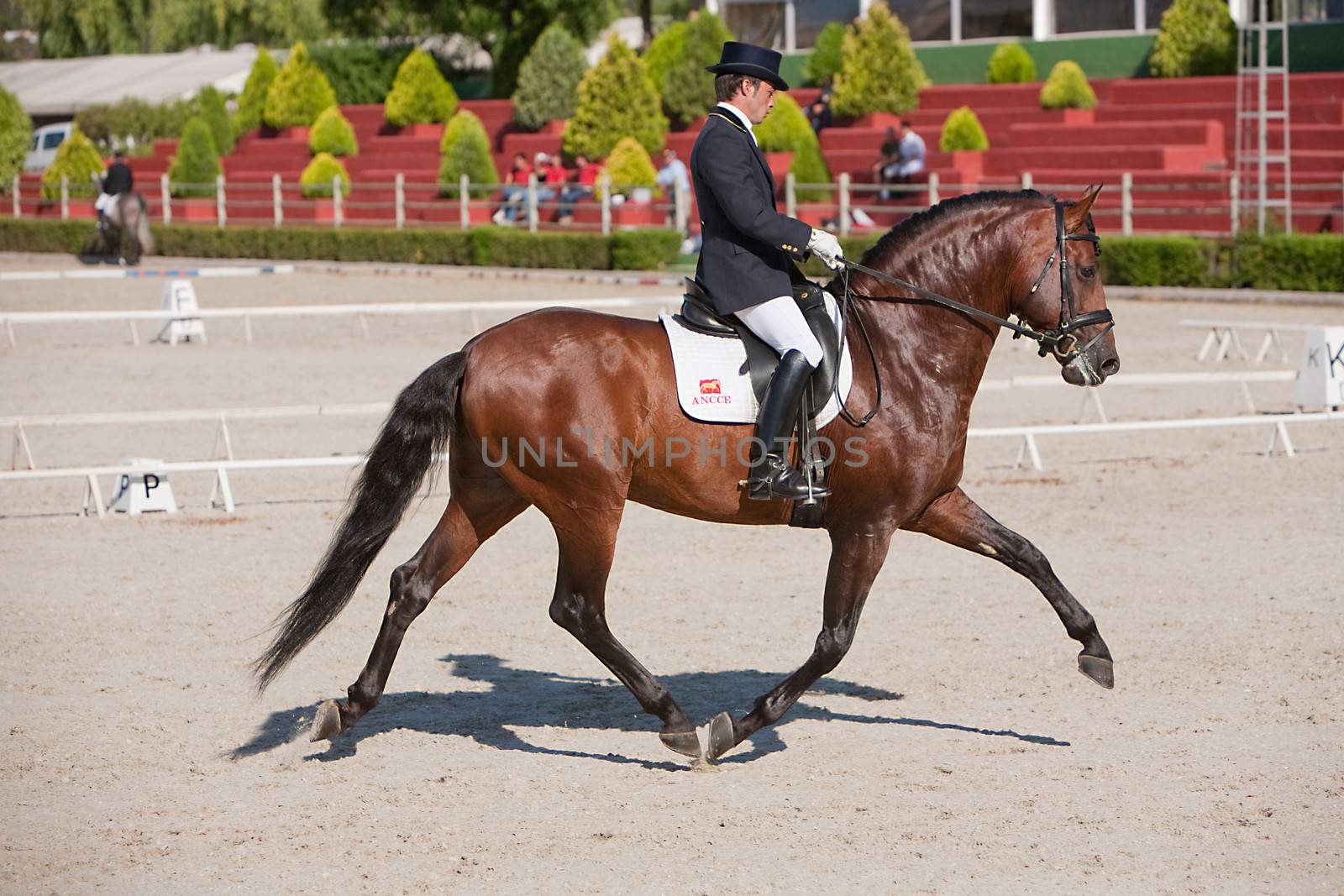 Rider competing in dressage competition classic, Spain by digicomphoto