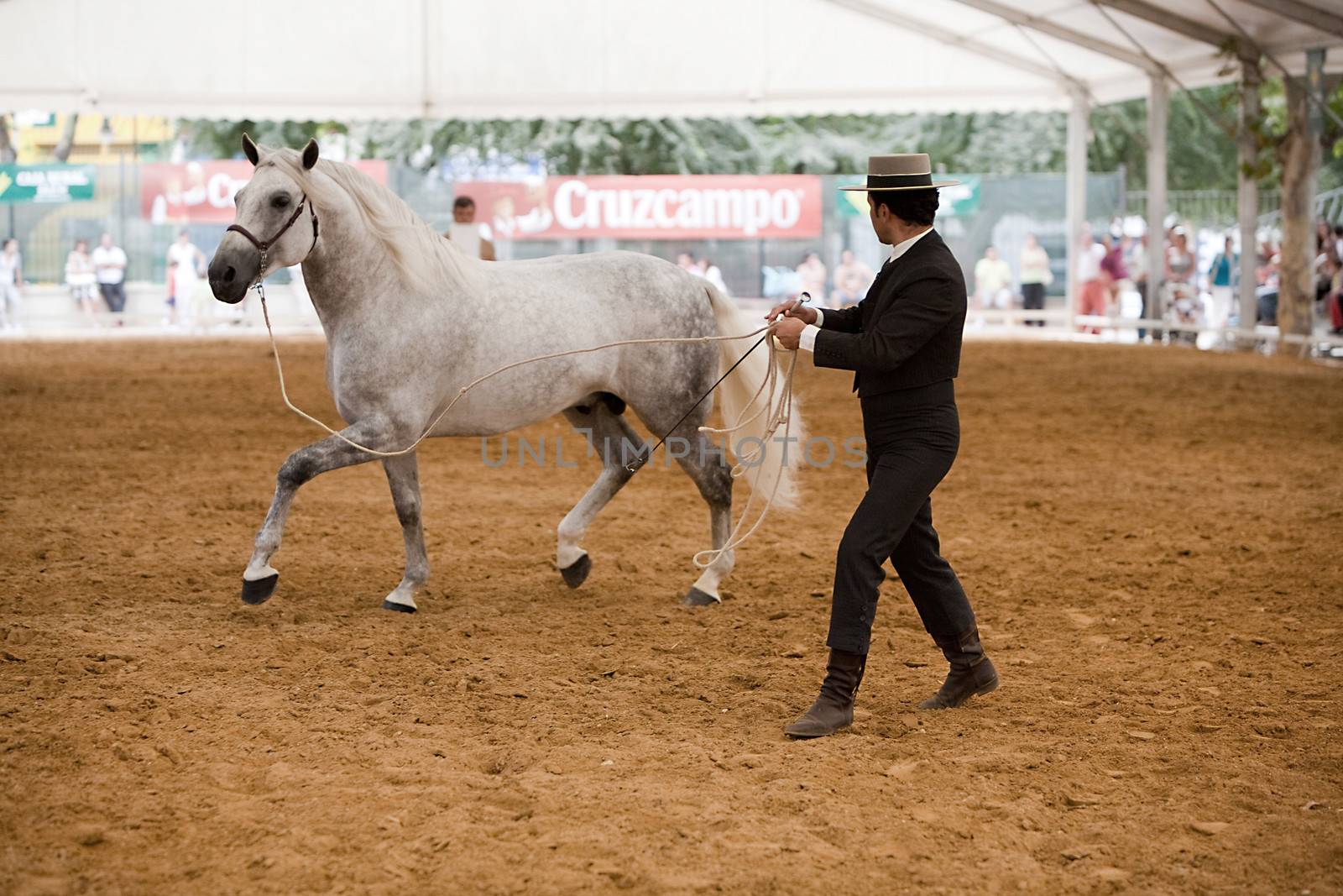 Equestrian test of morphology to pure Spanish horses, Spain